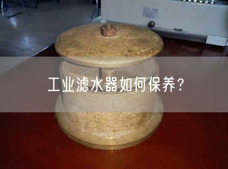 工業(yè)濾水器如何保養(yǎng)？