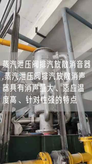 蒸汽泄壓閥排汽放散消音器,蒸汽泄壓閥排汽放散消聲器具有消聲量大、適應(yīng)溫度高、針對(duì)