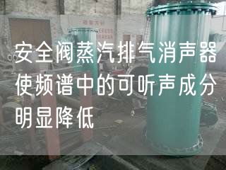 安全閥蒸汽排氣消聲器使頻譜中的可聽聲成分遙遙降低